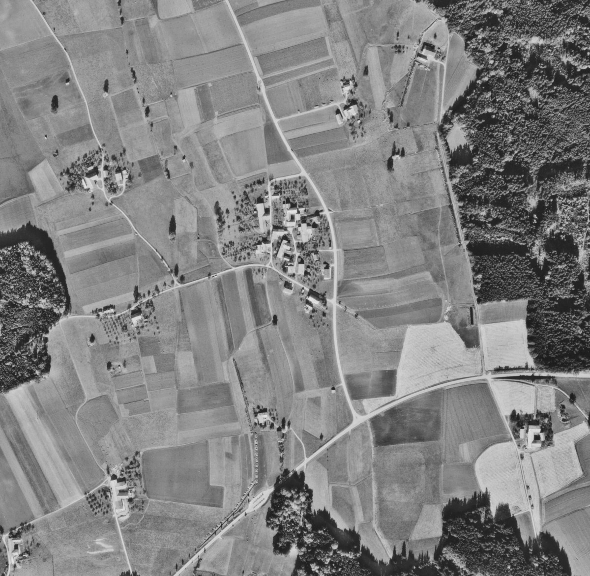 Right Image