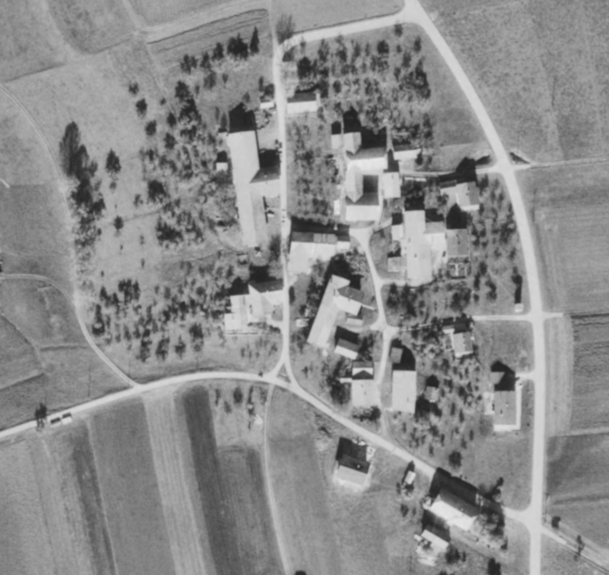 Right Image